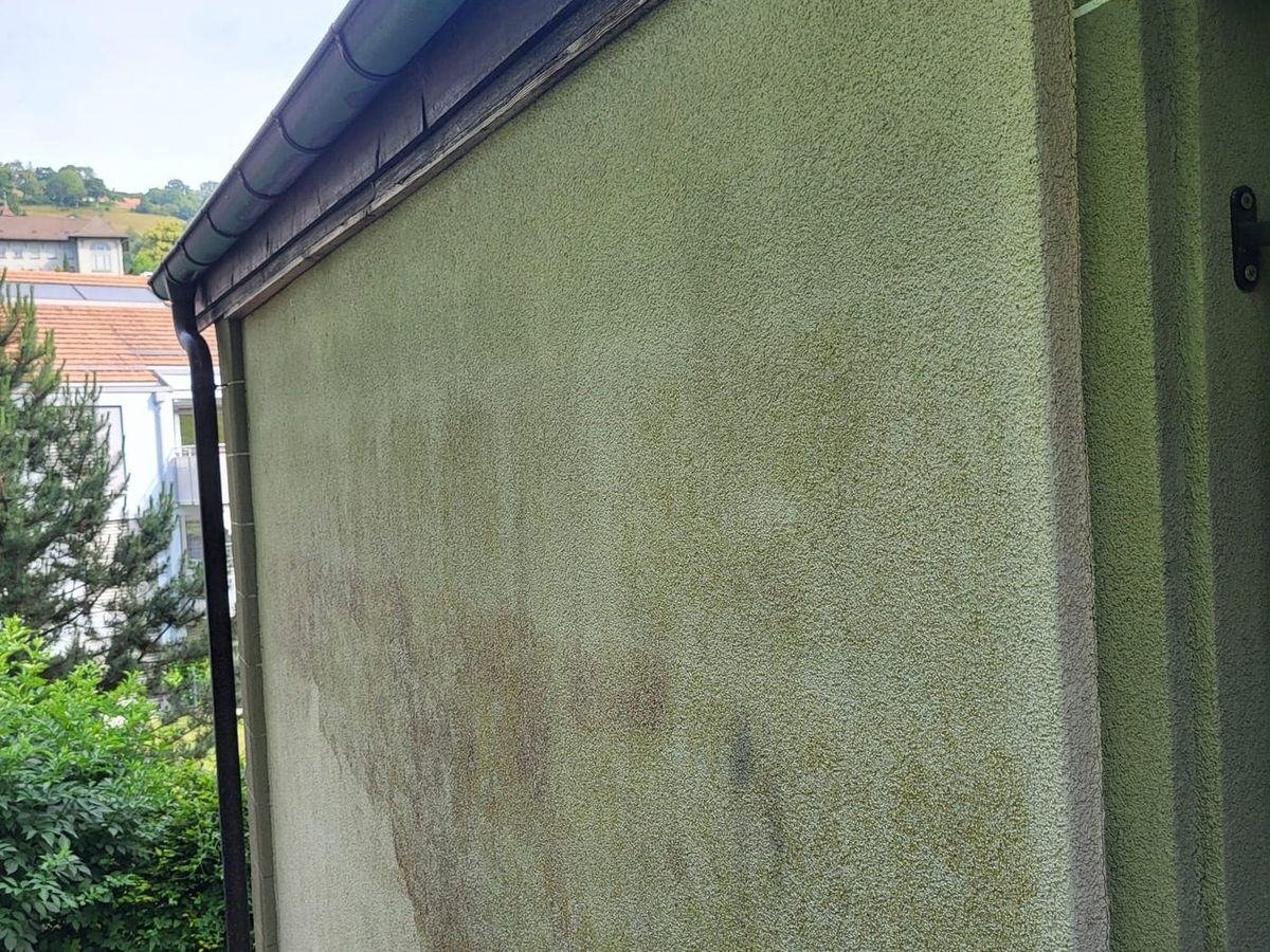 Façade en crépi verdie par les algues avant nettoyage, canton de Vaud
